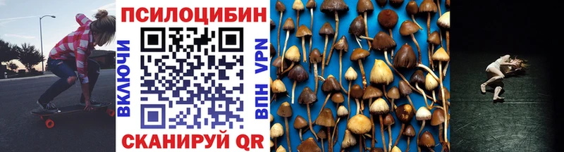 Псилоцибиновые грибы Psilocybe  дарнет шоп  Россошь 