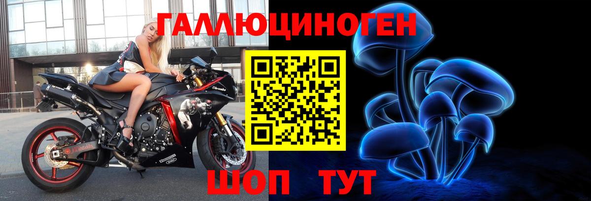 Псилоцибиновые грибы Psilocybe  Вход с VPN  Россошь 